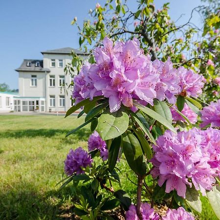 Hotel Siegmar Im Geschaftshaus Chemnitz Bagian luar foto