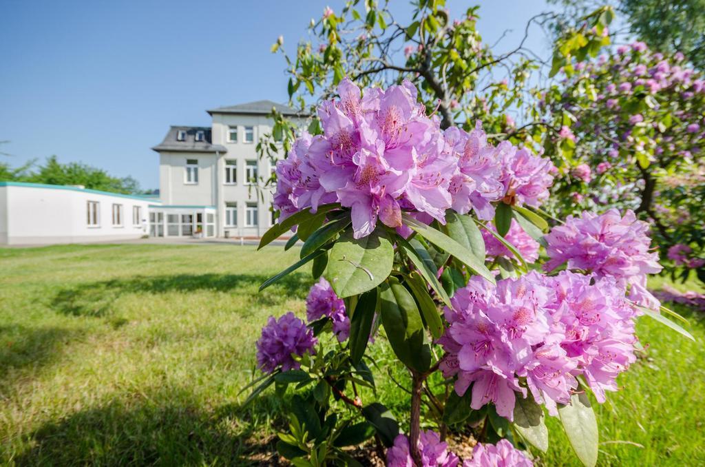 Hotel Siegmar Im Geschaftshaus Chemnitz Bagian luar foto